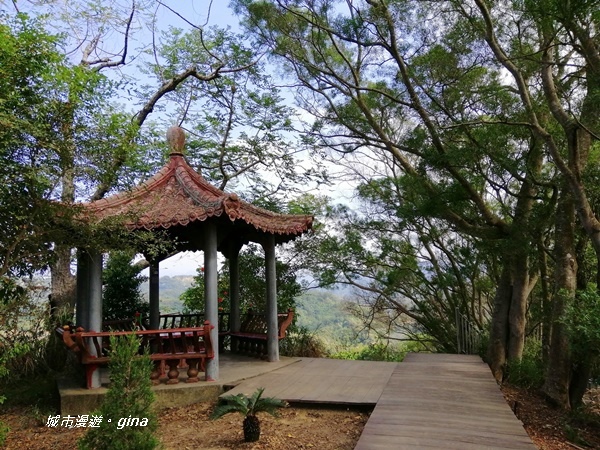 IMG_20201031_124010.jpg IMG_20201031_124010.jpg