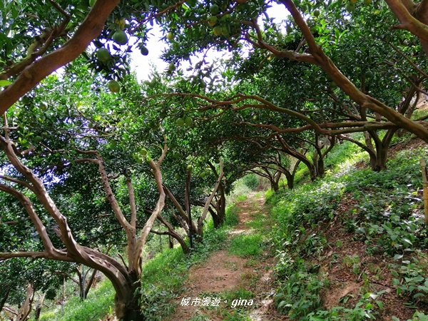 IMG_20201031_123754.jpg IMG_20201031_123754.jpg