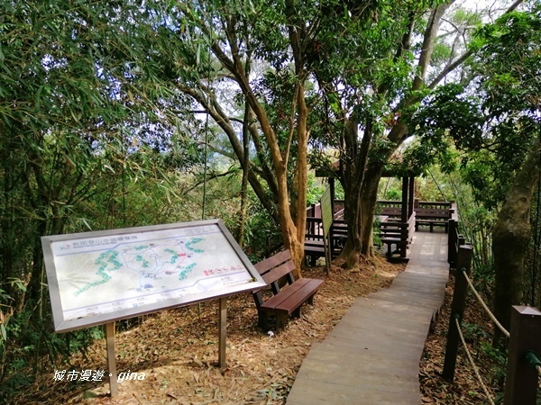 IMG_20201031_133835.jpg IMG_20201031_133835.jpg