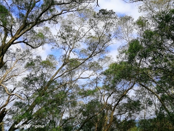 IMG_20201031_134230.jpg IMG_20201031_134230.jpg