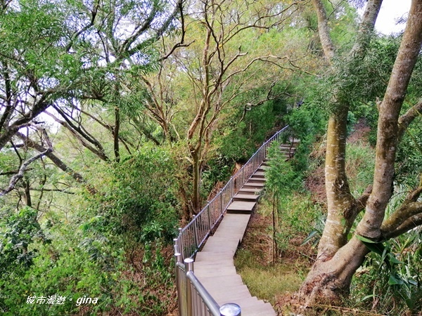 IMG_20201031_135912.jpg IMG_20201031_135912.jpg