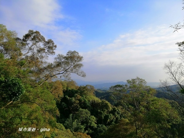 IMG_20201031_155259.jpg IMG_20201031_155259.jpg