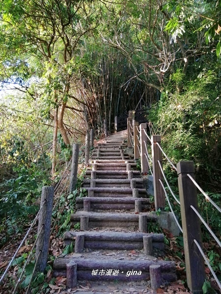 IMG_20201031_161351.jpg IMG_20201031_161351.jpg