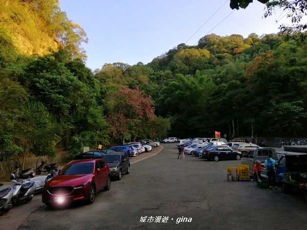 IMG_20201031_162549.jpg IMG_20201031_162549.jpg