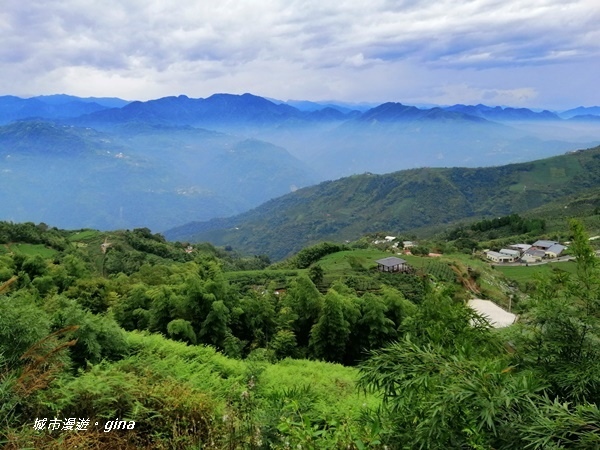 【雲林古坑】雲海茶園潑墨如畫。No56小百岳~雲嘉大尖山