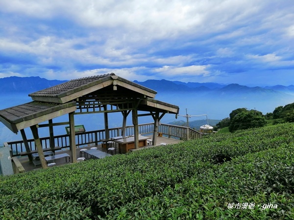 【雲林古坑】雲海茶園潑墨如畫。No56小百岳~雲嘉大尖山