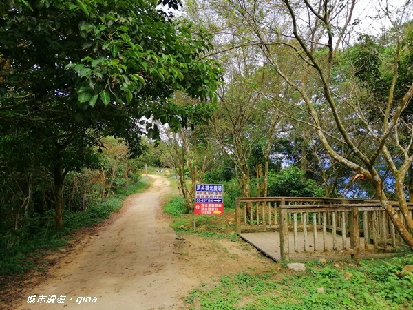 IMG_20201106_133916.jpg IMG_20201106_133916.jpg