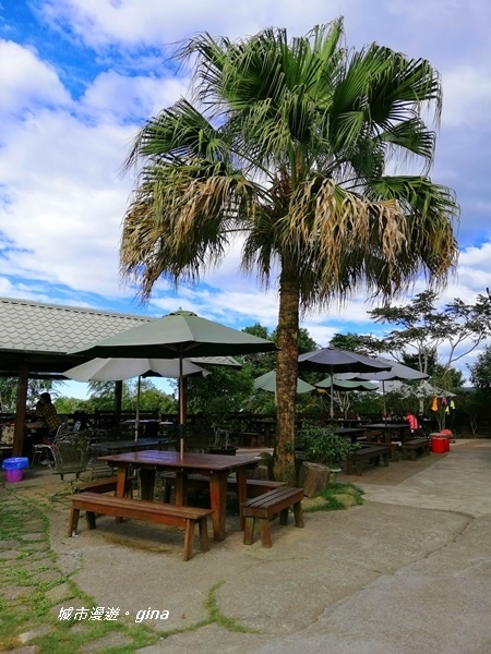 【雲林古坑】雲海茶園潑墨如畫。No56小百岳~雲嘉大尖山