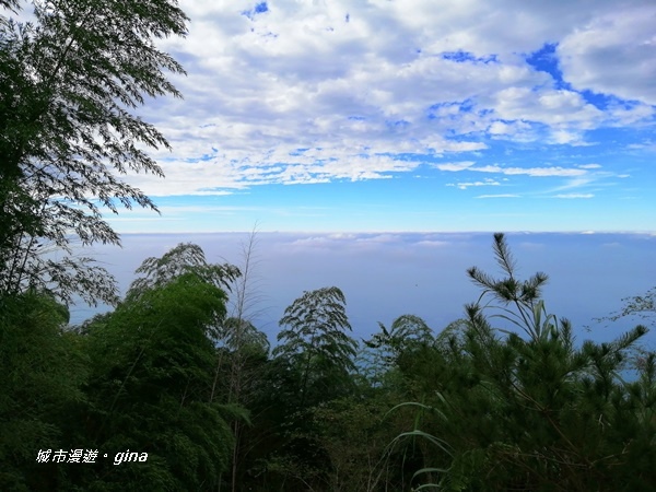 IMG_20201106_134058.jpg IMG_20201106_134058.jpg