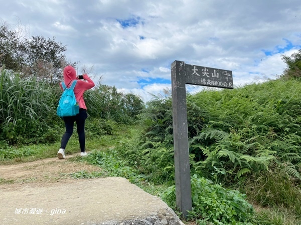 IMG_20201106_134437.jpg IMG_20201106_134437.jpg