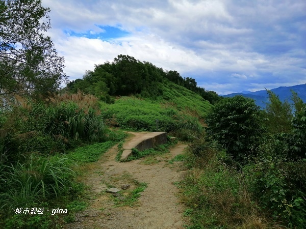 【雲林古坑】雲海茶園潑墨如畫。No56小百岳~雲嘉大尖山