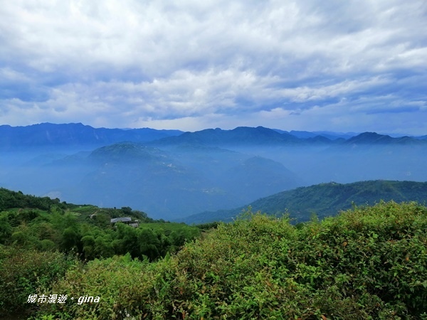 IMG_20201106_134532.jpg IMG_20201106_134532.jpg