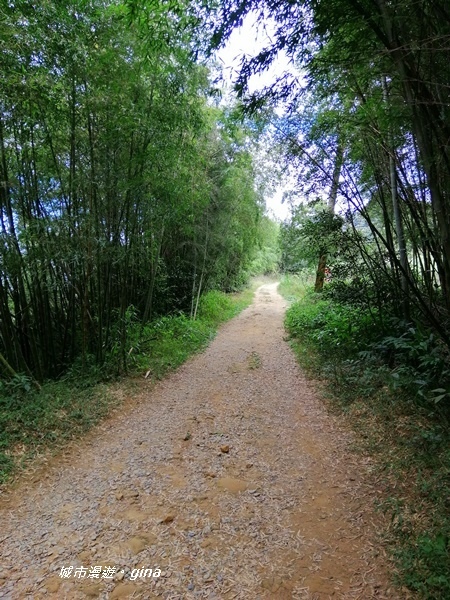 IMG_20201106_134313.jpg IMG_20201106_134313.jpg