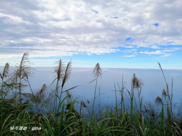 IMG_20201106_134611.jpg IMG_20201106_134611.jpg