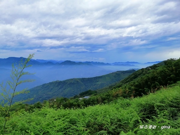 IMG_20201106_134707.jpg IMG_20201106_134707.jpg