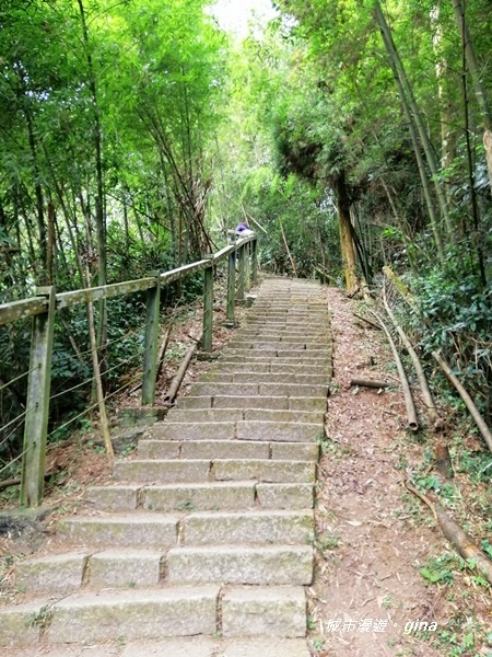 【雲林古坑】雲海茶園潑墨如畫。No56小百岳~雲嘉大尖山