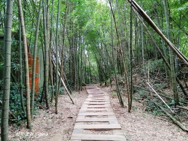 IMG_20201106_135015.jpg IMG_20201106_135015.jpg