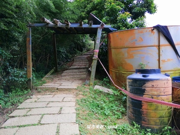 IMG_20201106_140108.jpg IMG_20201106_140108.jpg