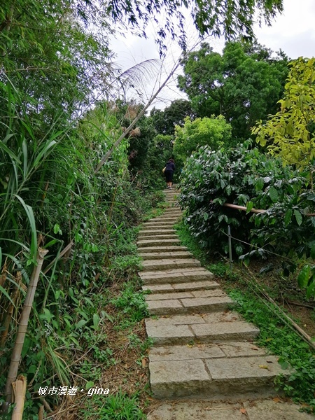 IMG_20201106_140140.jpg IMG_20201106_140140.jpg