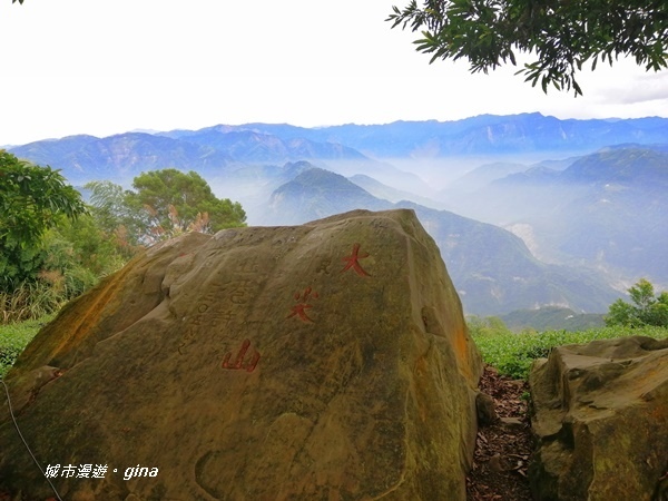 IMG_20201106_142226.jpg IMG_20201106_142226.jpg