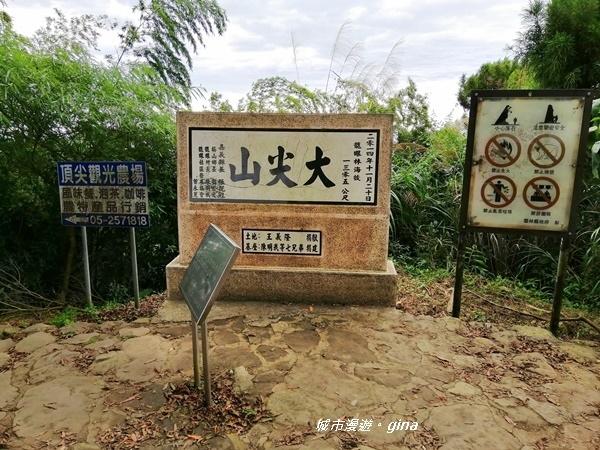 【雲林古坑】雲海茶園潑墨如畫。No56小百岳~雲嘉大尖山