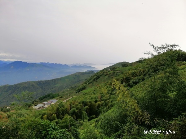 IMG_20201106_144747.jpg IMG_20201106_144747.jpg