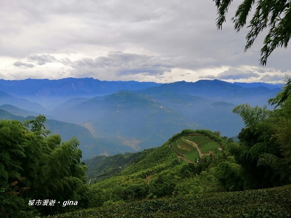 IMG_20201106_143811.jpg IMG_20201106_143811.jpg