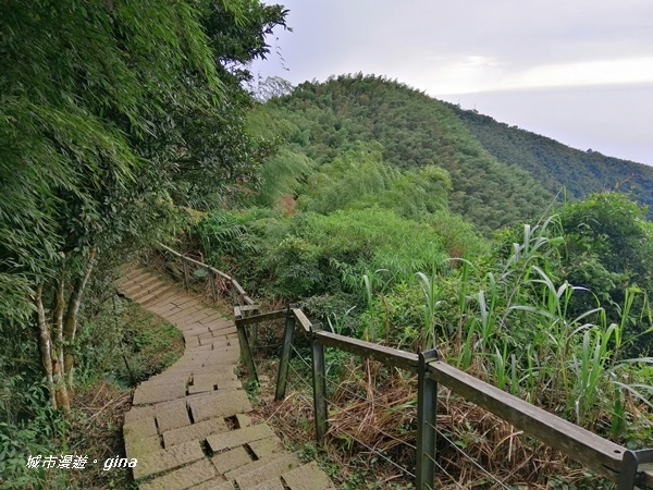 IMG_20201106_143946.jpg IMG_20201106_143946.jpg