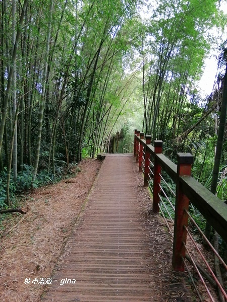 IMG_20201106_144144.jpg IMG_20201106_144144.jpg