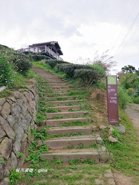 IMG_20201106_145819.jpg IMG_20201106_145819.jpg