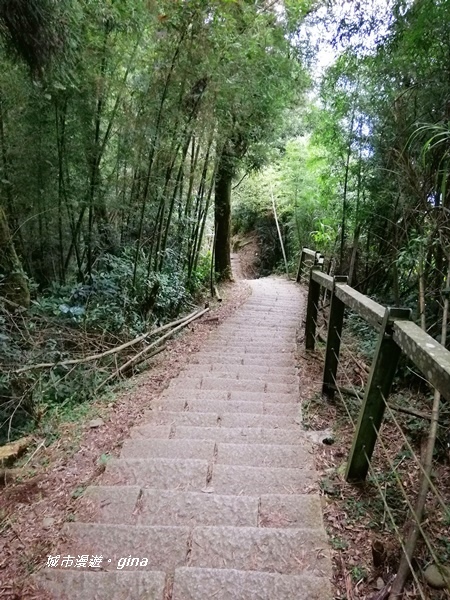 【雲林古坑】雲海茶園潑墨如畫。No56小百岳~雲嘉大尖山