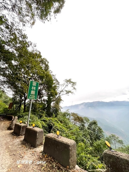 【雲林古坑】雲海茶園潑墨如畫。No56小百岳~雲嘉大尖山