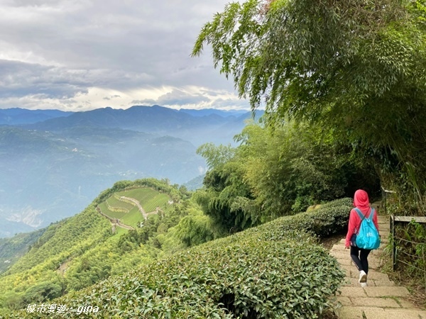 IMG_20201106_144748.jpg IMG_20201106_144748.jpg