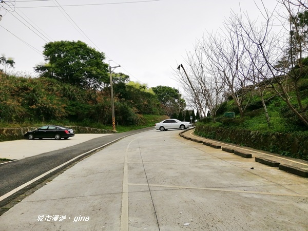 IMG_20201106_145937.jpg IMG_20201106_145937.jpg