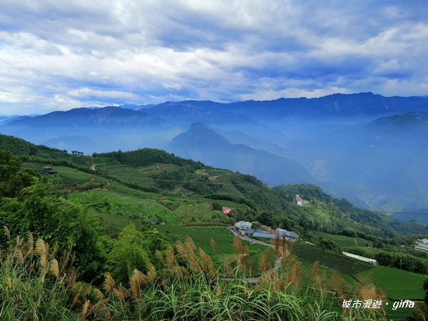 IMG_20201106_145941.jpg IMG_20201106_145941.jpg