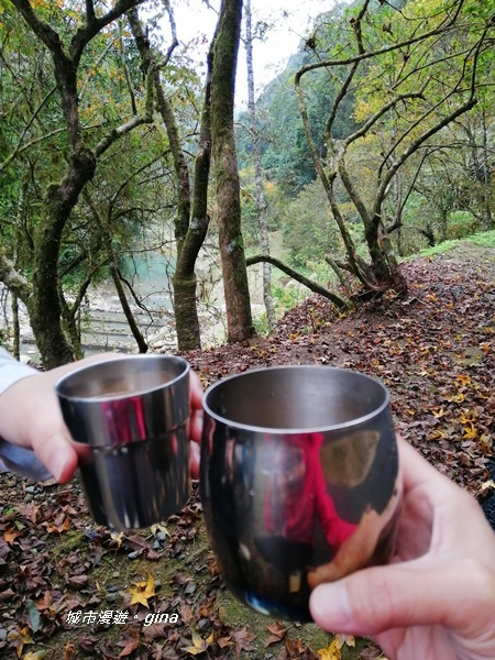 IMG_20201107_123644.jpg IMG_20201107_123644.jpg