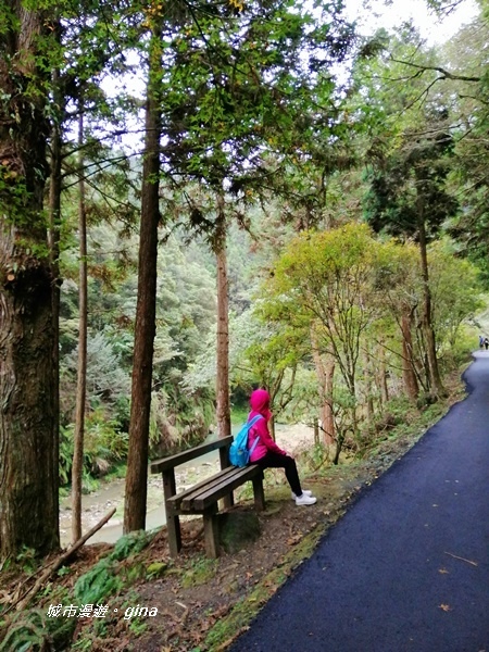 IMG_20201107_124826.jpg IMG_20201107_124826.jpg