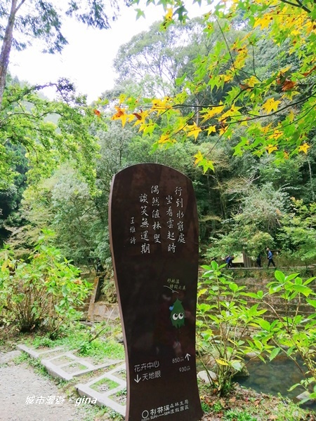 IMG_20201107_130107.jpg IMG_20201107_130107.jpg