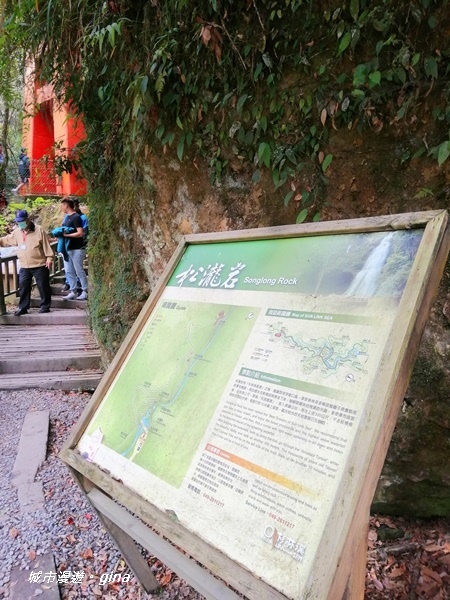 IMG_20201107_130055.jpg IMG_20201107_130055.jpg