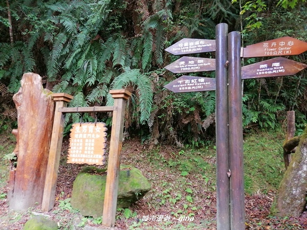 IMG_20201107_130028.jpg IMG_20201107_130028.jpg