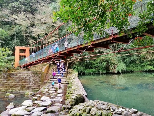 IMG_20201107_130147.jpg IMG_20201107_130147.jpg