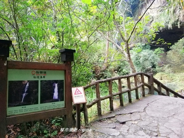 IMG_20201107_130221.jpg IMG_20201107_130221.jpg