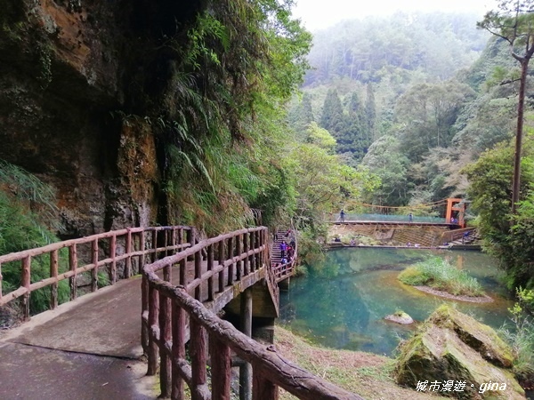 IMG_20201107_130804.jpg IMG_20201107_130804.jpg