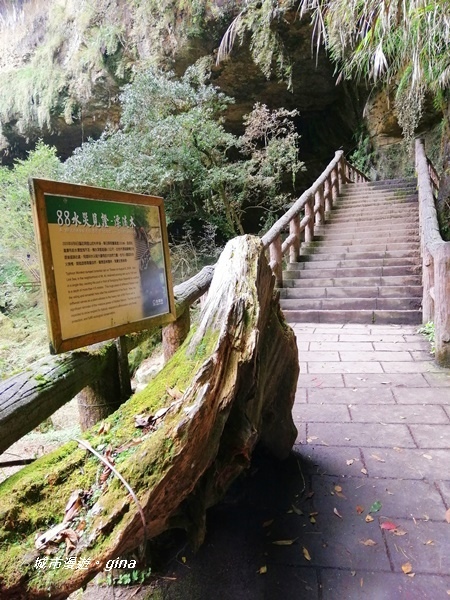 IMG_20201107_130715.jpg IMG_20201107_130715.jpg