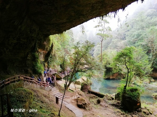 IMG_20201107_130929.jpg IMG_20201107_130929.jpg