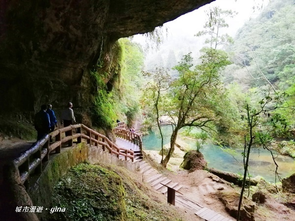 IMG_20201107_130854.jpg IMG_20201107_130854.jpg