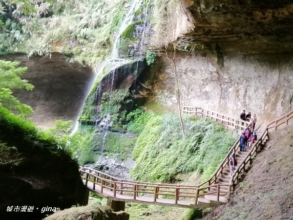 IMG_20201107_131009.jpg IMG_20201107_131009.jpg