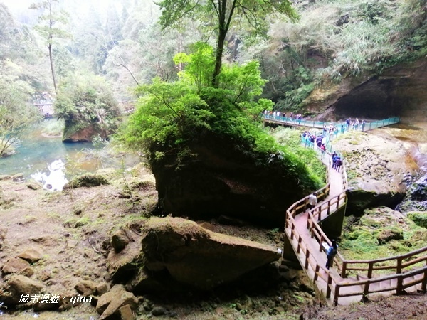 IMG_20201107_131134.jpg IMG_20201107_131134.jpg