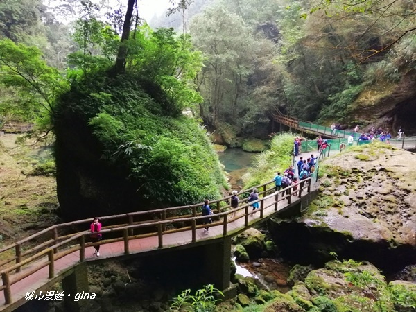 IMG_20201107_131258.jpg IMG_20201107_131258.jpg