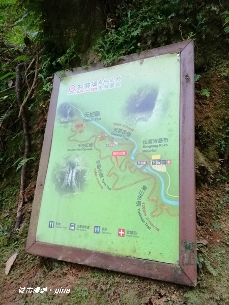 IMG_20201107_132904.jpg IMG_20201107_132904.jpg